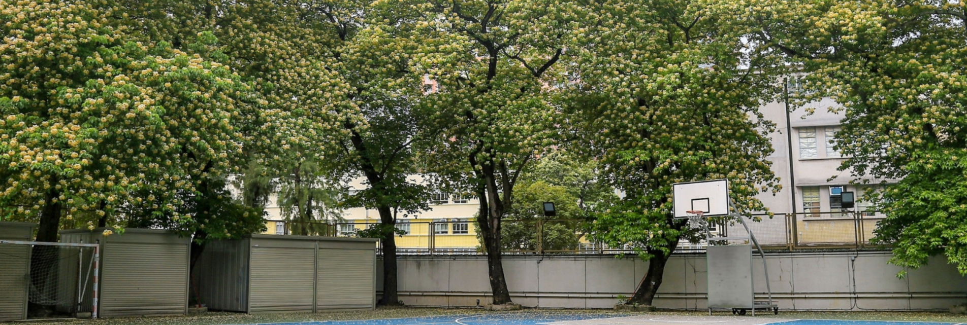 campus_trees