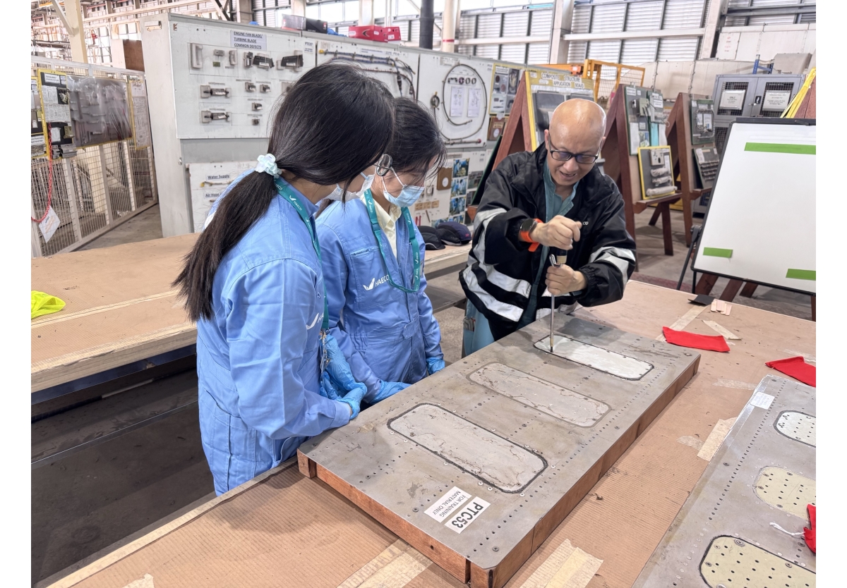 HAECO-3